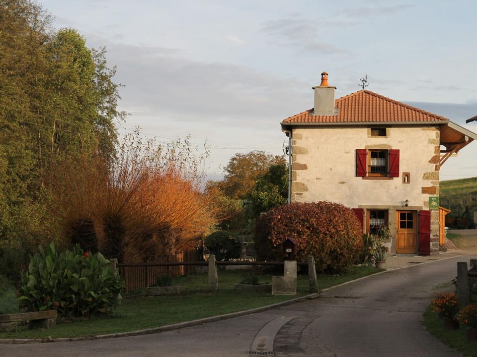 Gîte Tranquille avec Cheminée, Terrasse sur la Saône et Borne EV, Animaux Bienvenus - FR-1-589-103 House in Vosges