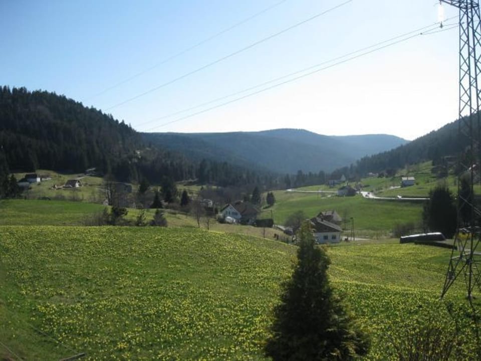 Gîte à Gérardmer - Proche lac et pistes, Chem cheminée, 2 chambres - FR-1-589-108 House in Gérardmer