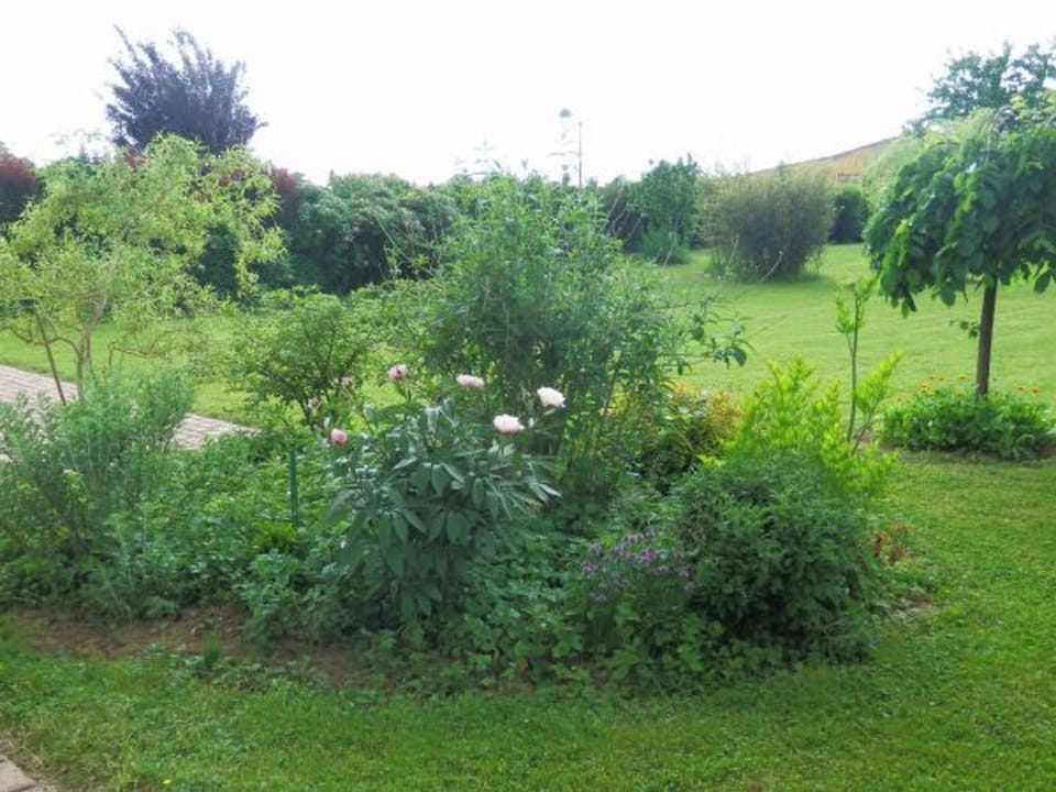 Gîte de Charme avec Terrasse près de Bourbonne-les-Bains, 2 chambres, poêle à bois, Wifi inclus - FR-1-589-118 House in Vosges