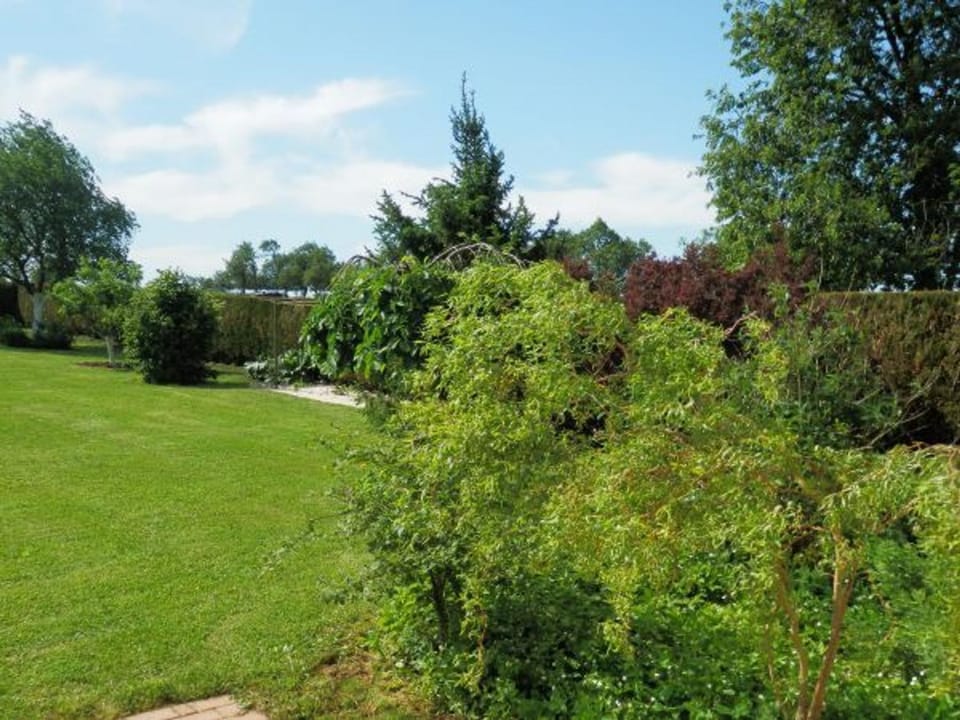 Gîte de Charme avec Terrasse près de Bourbonne-les-Bains, 2 chambres, poêle à bois, Wifi inclus - FR-1-589-118 House in Vosges