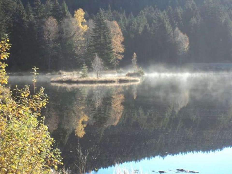 Chalet spacieux près de Gérardmer avec terrasse, verger et activités montagne - FR-1-589-121 House in Vosges