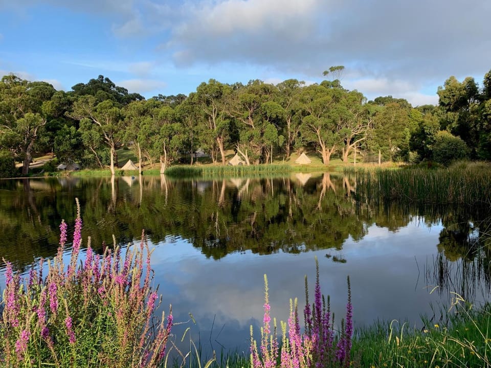 Spring, Day, Natural landscape, Lake view