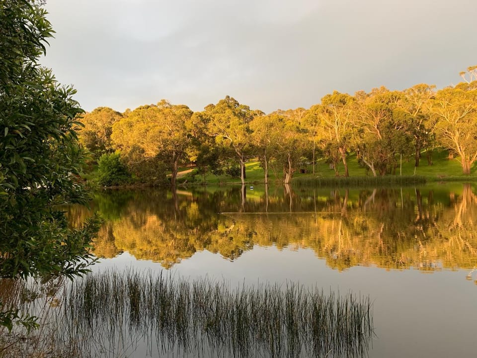 Spring, Day, Lake view
