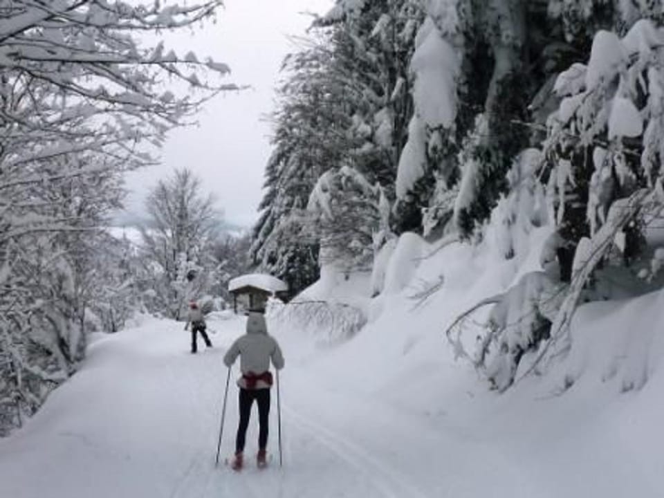 Gîte chaleureux à La Bresse avec terrasse, barbecue et proche des pistes de ski Country House in La Bresse