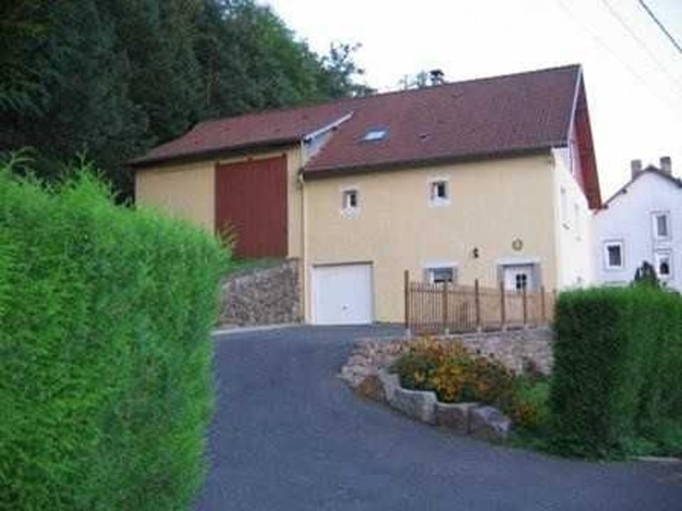Gîte Alsace proche forêts, randonnée, stations de ski, 2 salons, terrasse sud, cheminée, animaux acceptés - FR-1-589-200 House in Vosges