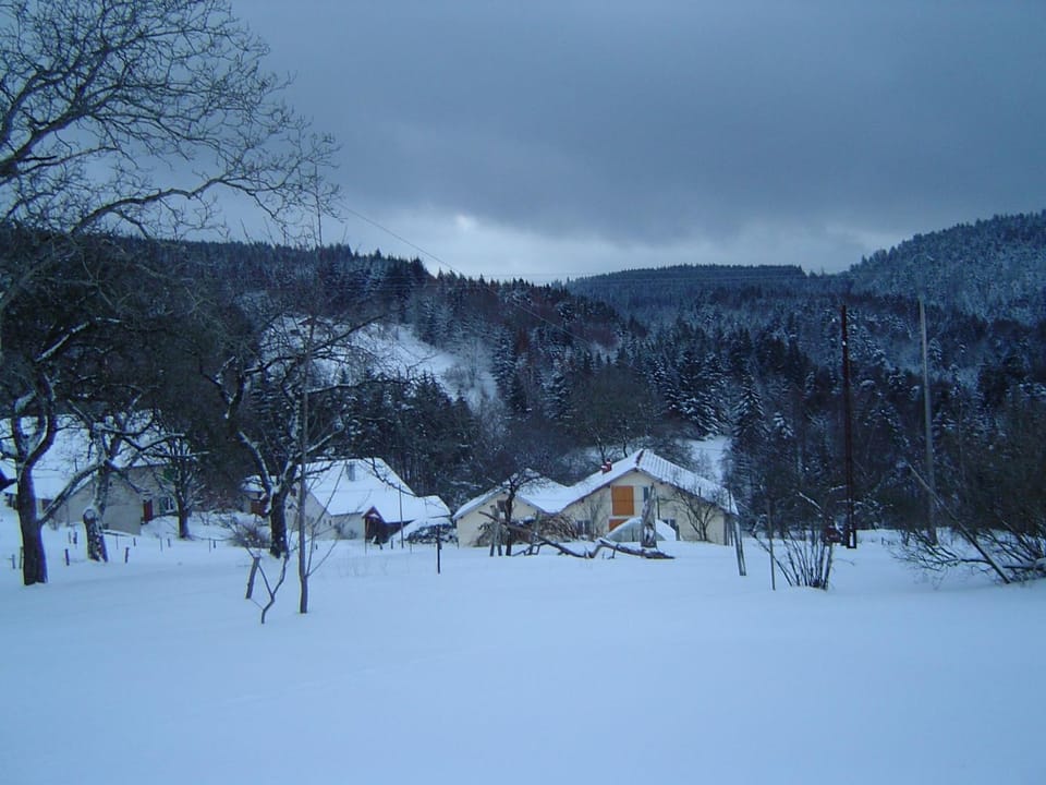 Grande maison avec cheminée, proche nature, idéale pour familles et amis, animaux admis. - FR-1-589-229 House in Vosges