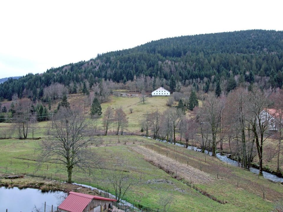 Gîte 4 étoiles avec sauna et terrasses pour 14 pers. - FR-1-589-319 House in Vosges