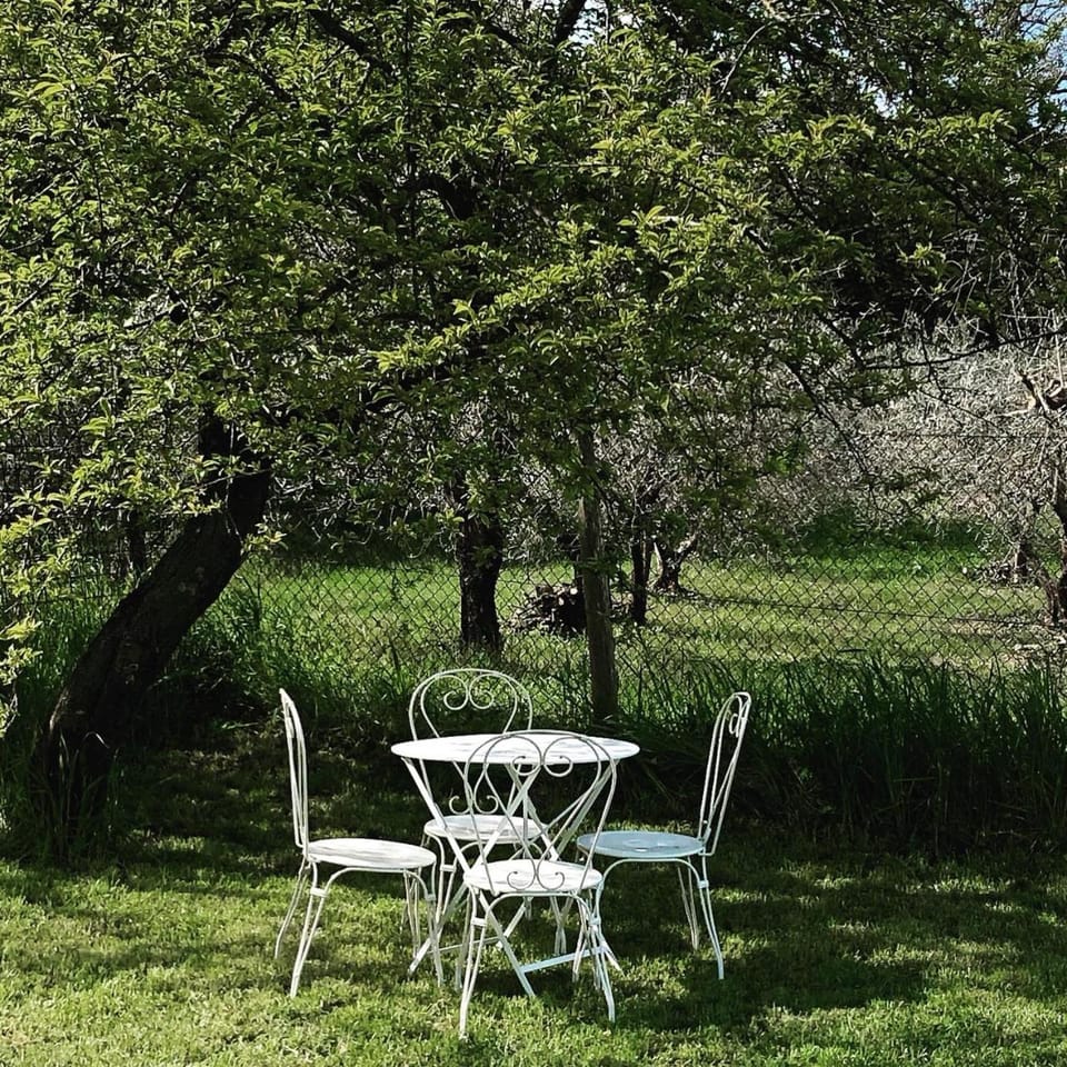 Garden, Seating area
