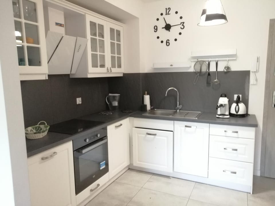 Zacisze Apartment in Lower Silesian Voivodeship