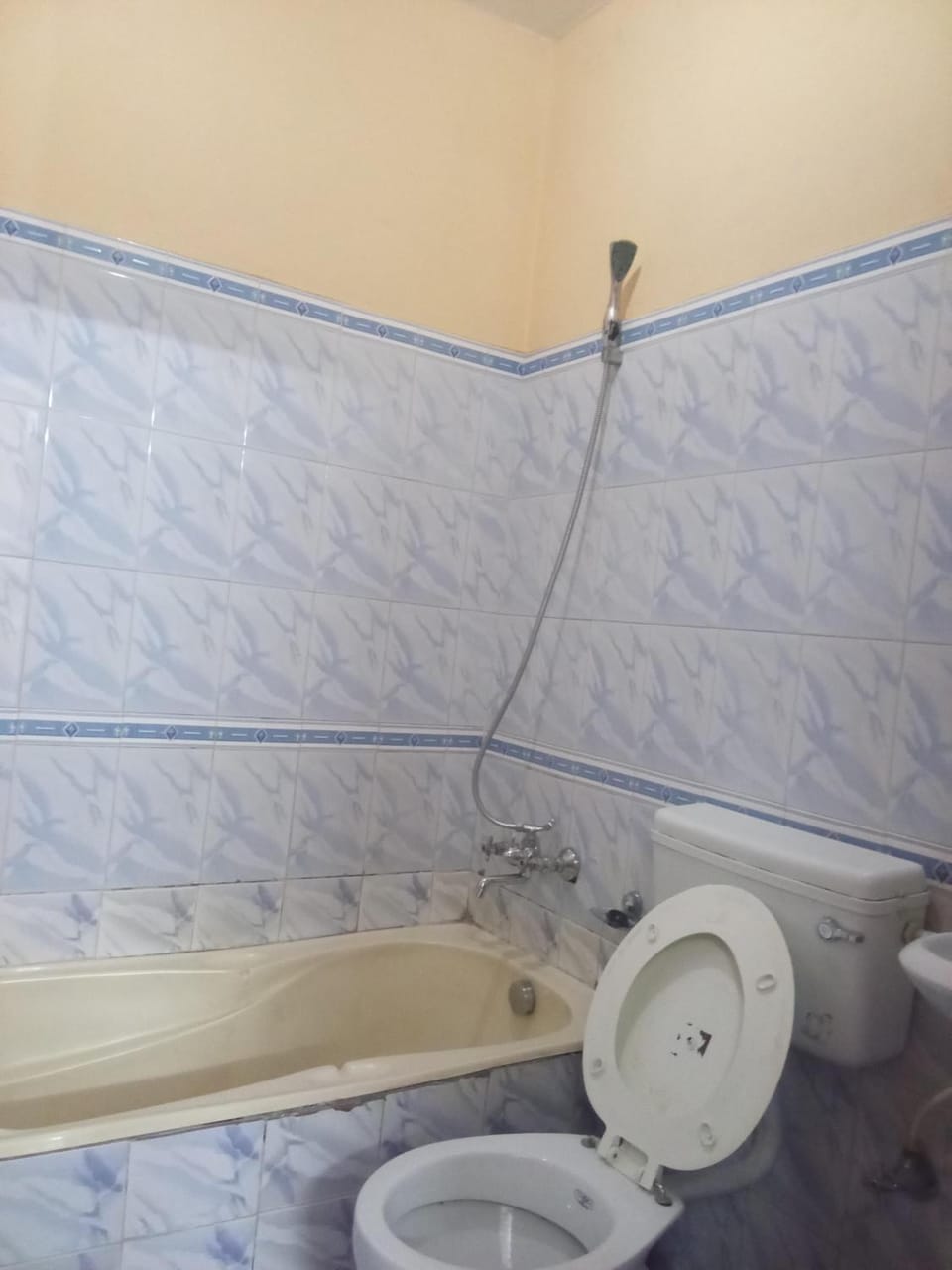Shower, Toilet, Bathroom, Bath
