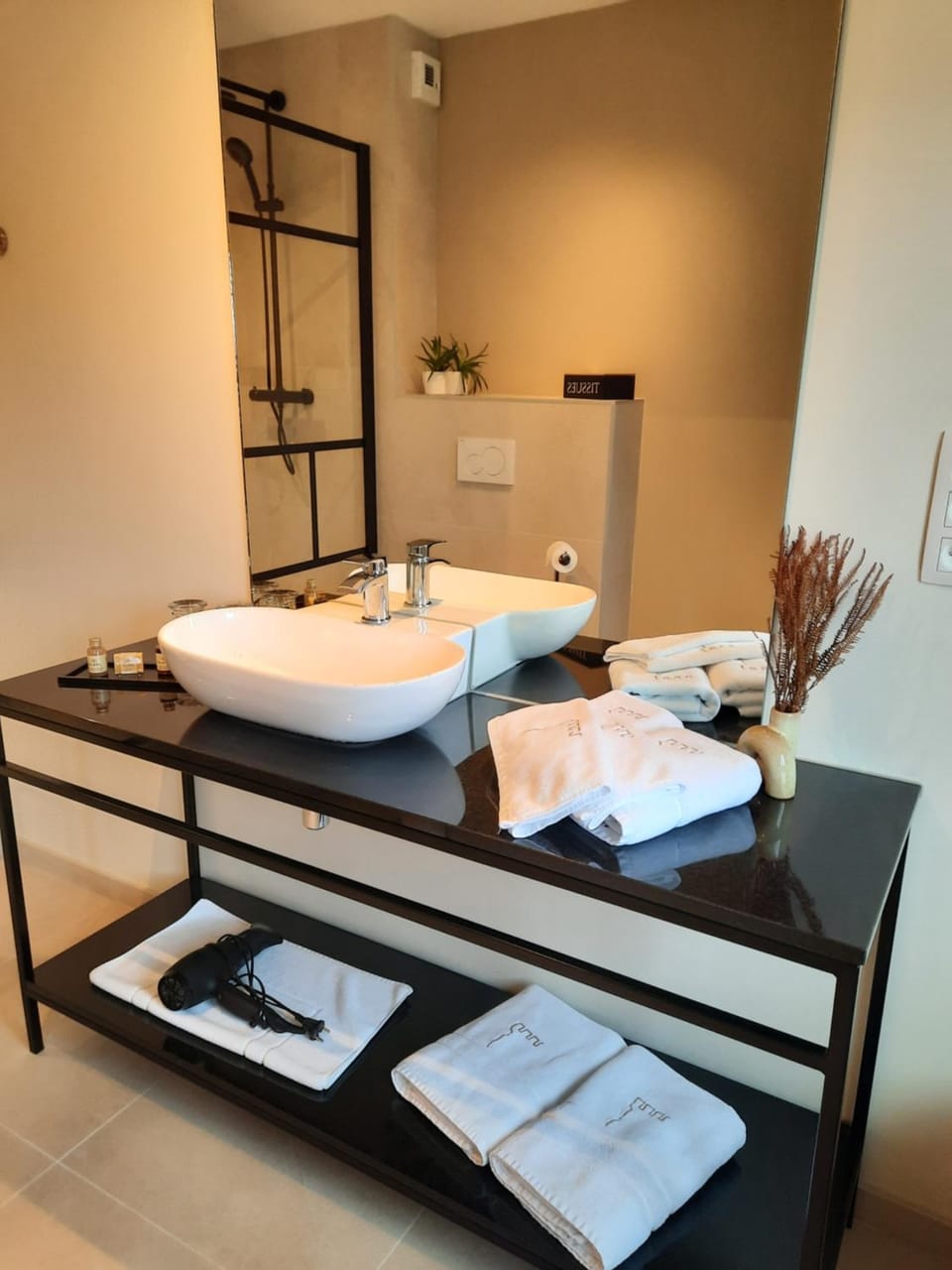 Bathroom, hair dryier, towels