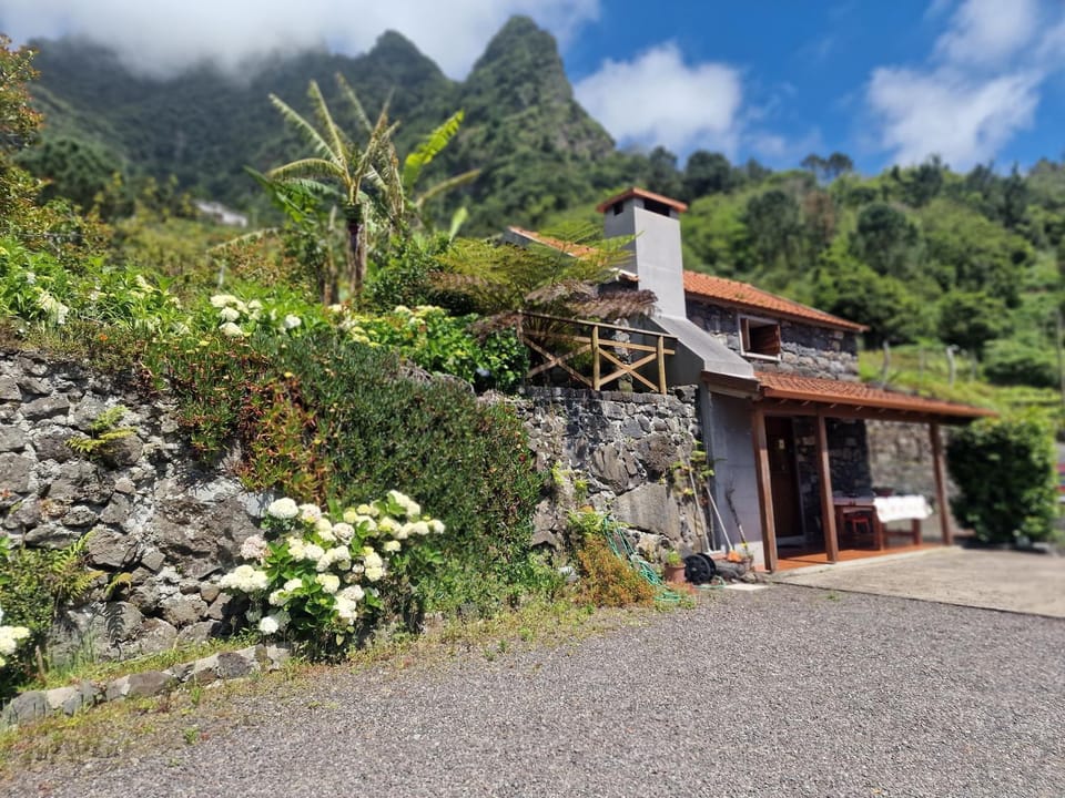 Property building, Mountain view