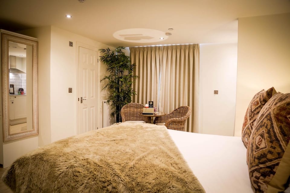 Steam room, Kitchen or kitchenette, Living room, Photo of the whole room, Seating area, Bedroom