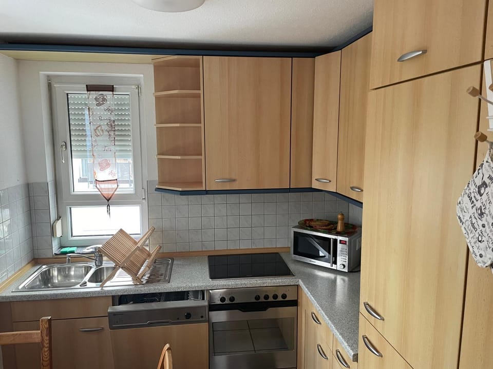 Kitchen or kitchenette, dishwasher, minibar, pet friendly, stove