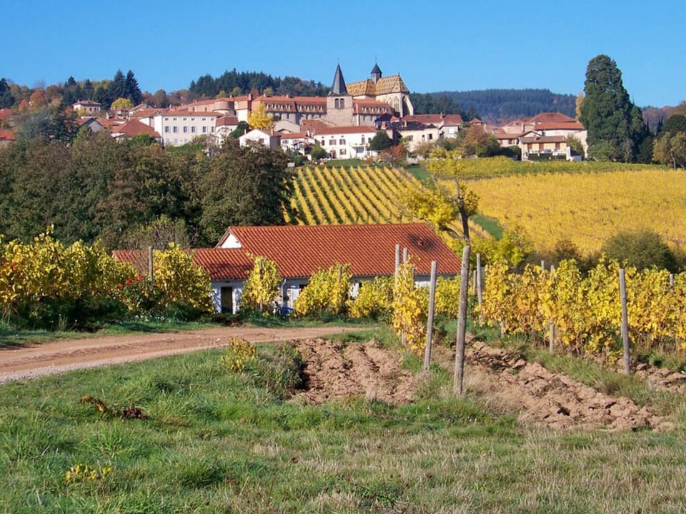 Gîte confortable à la ferme avec terrasse en campagne - FR-1-496-220 House in Auvergne-Rhône-Alpes