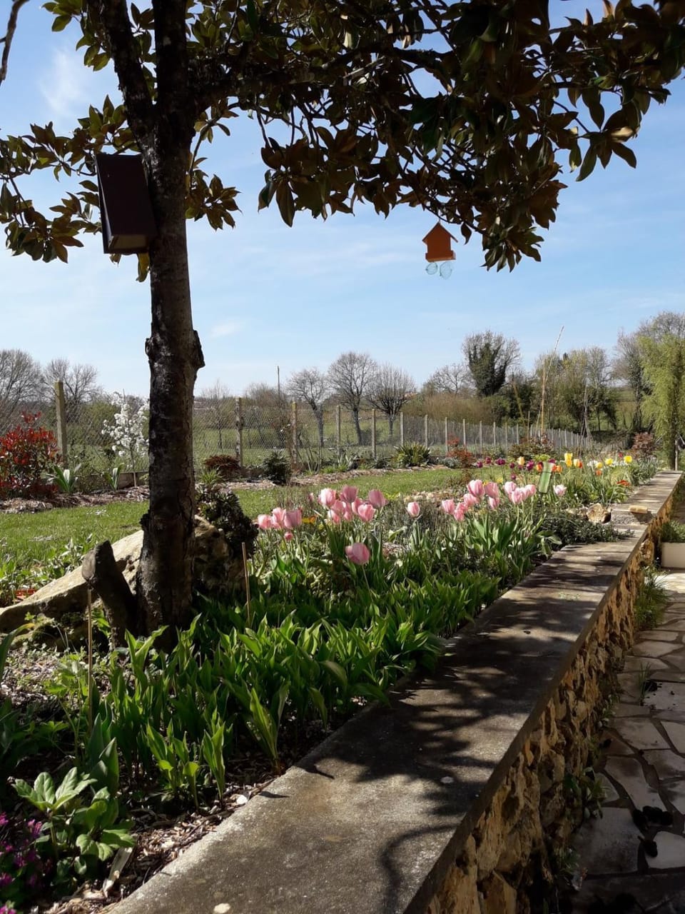 Garden view