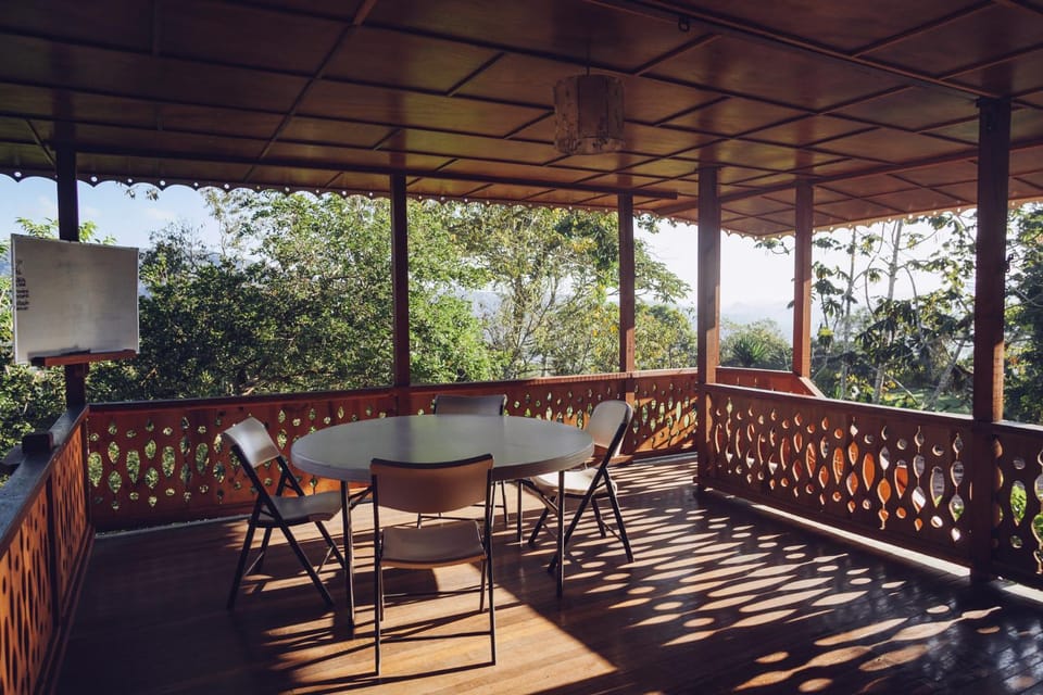 Garden, Balcony/Terrace, Garden view