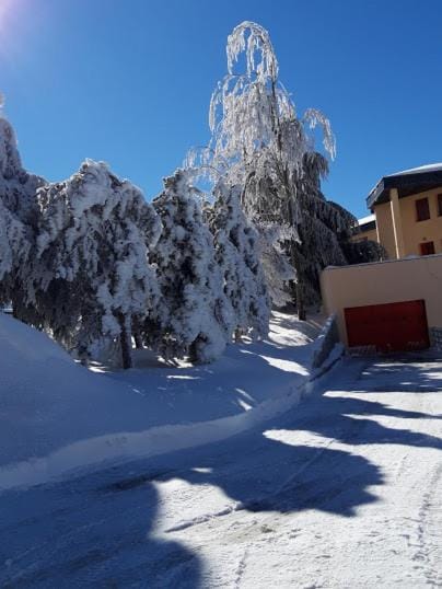 Property building, Winter