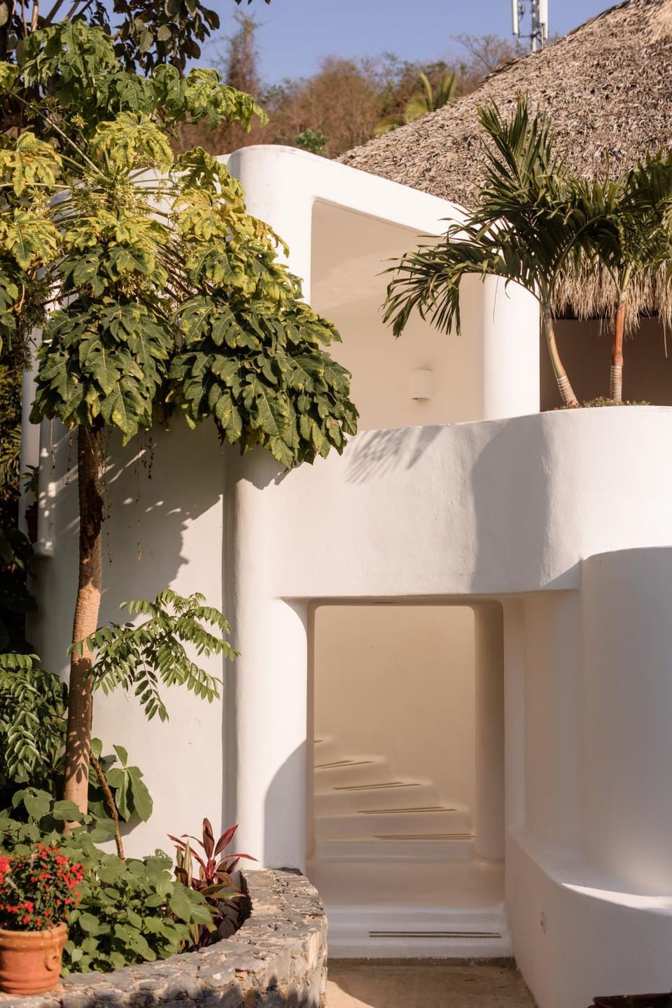 Property building, Garden view