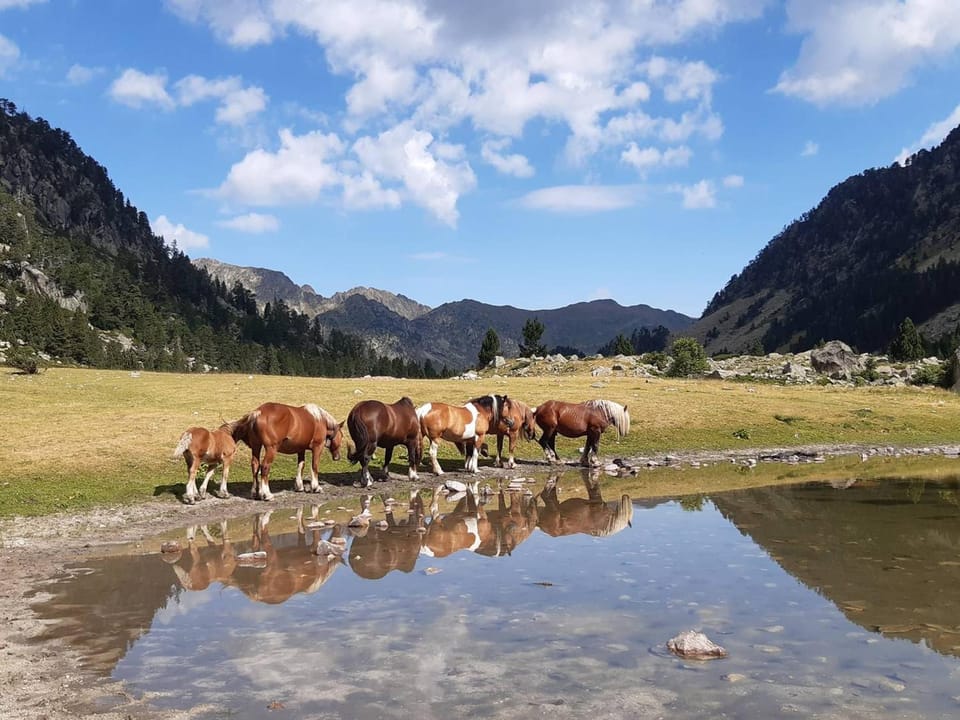 Studio proche centre 4 pers, parking, balcon - FR-1-234-249 Apartment in Cauterets