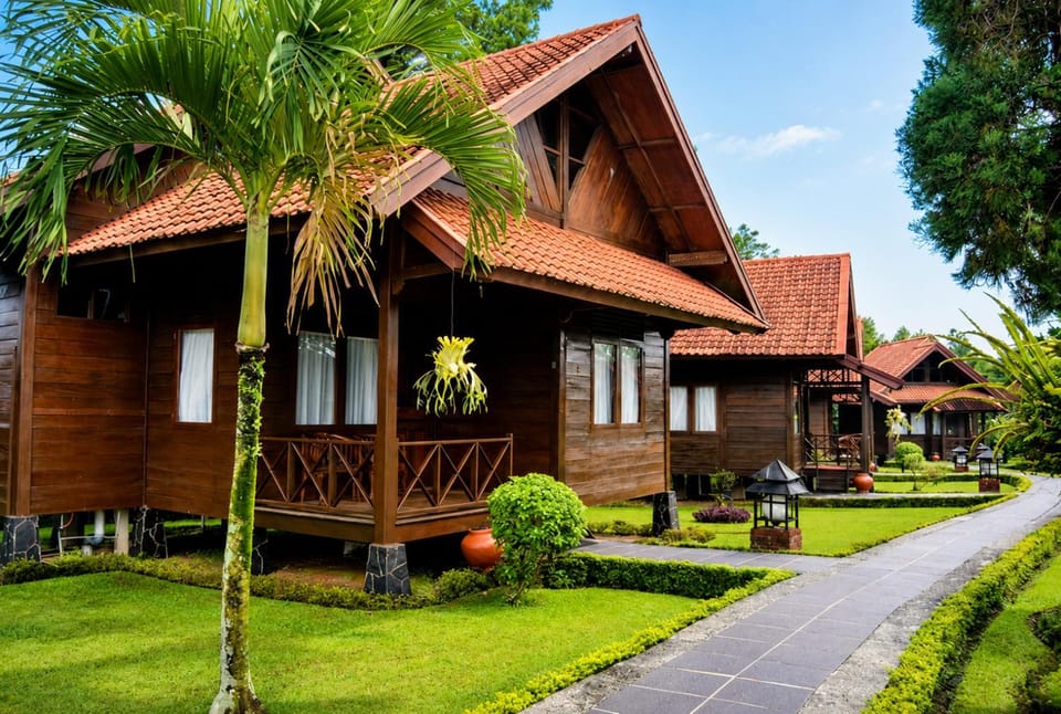 Property building, Day