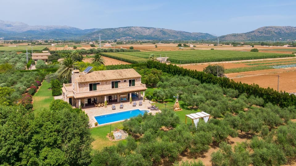 Bird's eye view, Garden, Garden view, Swimming pool, Swimming pool