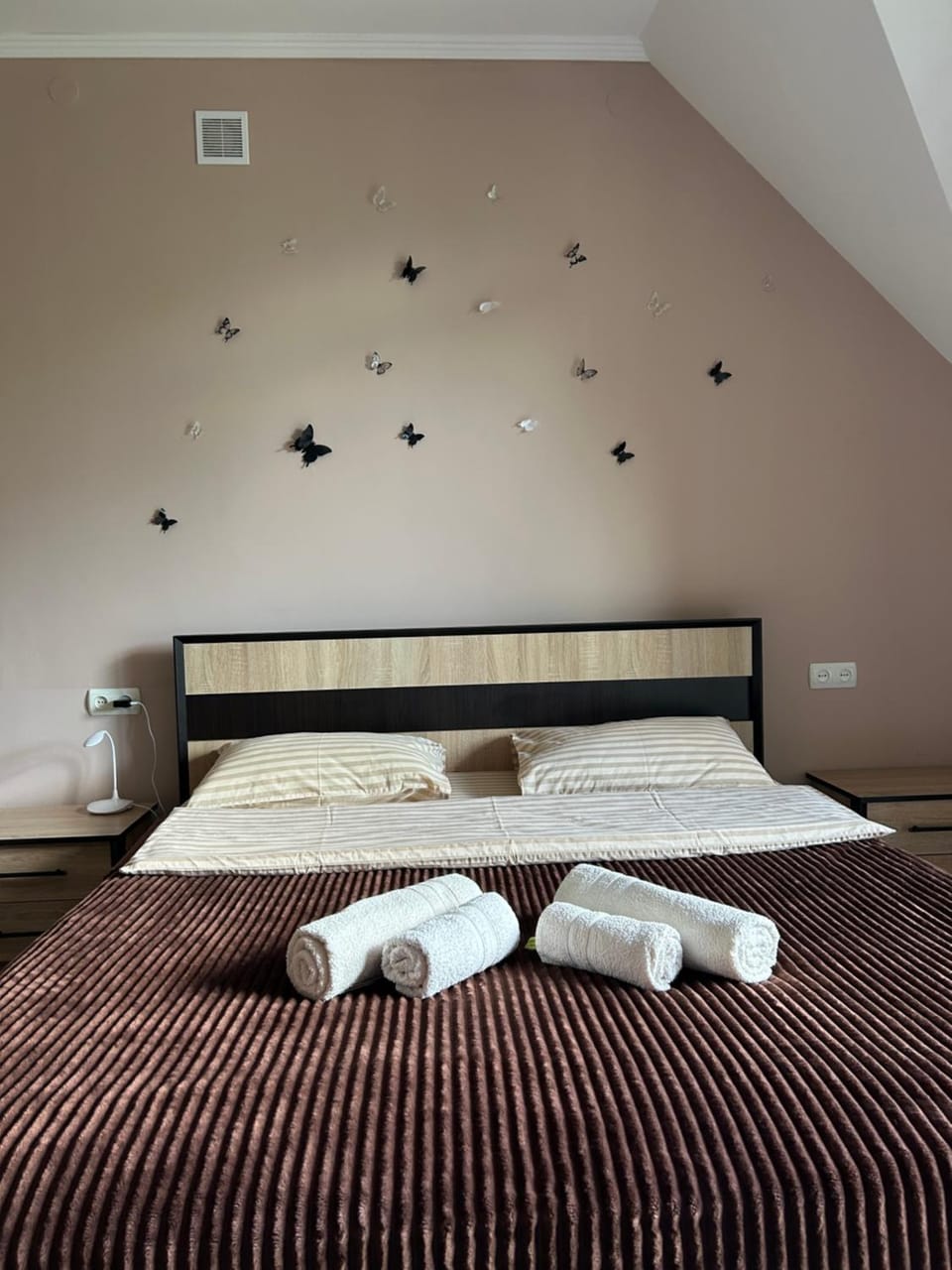 На березі Черемошу Hotel in Romania