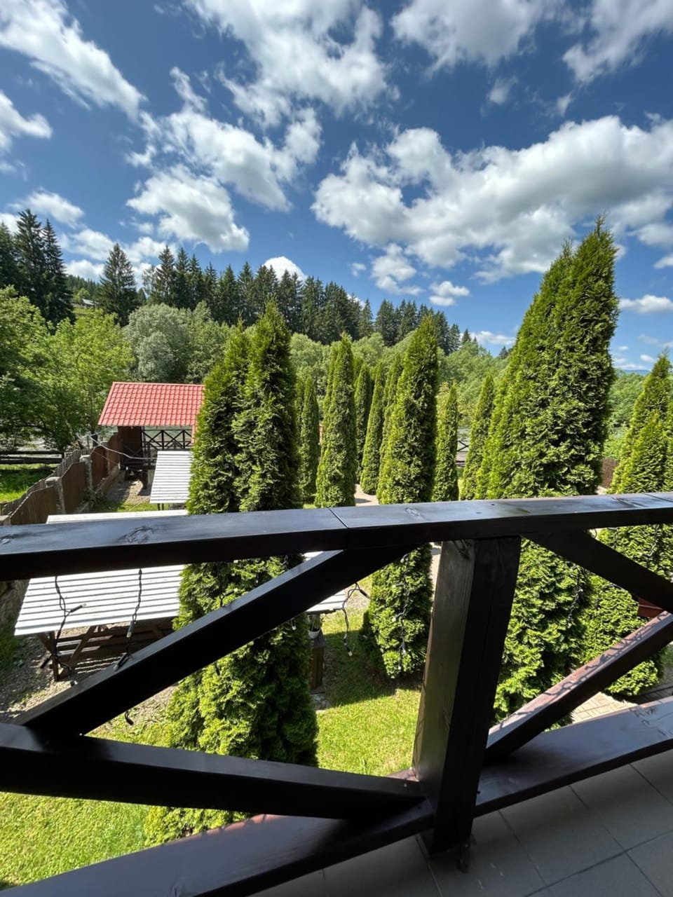 На березі Черемошу Hotel in Romania