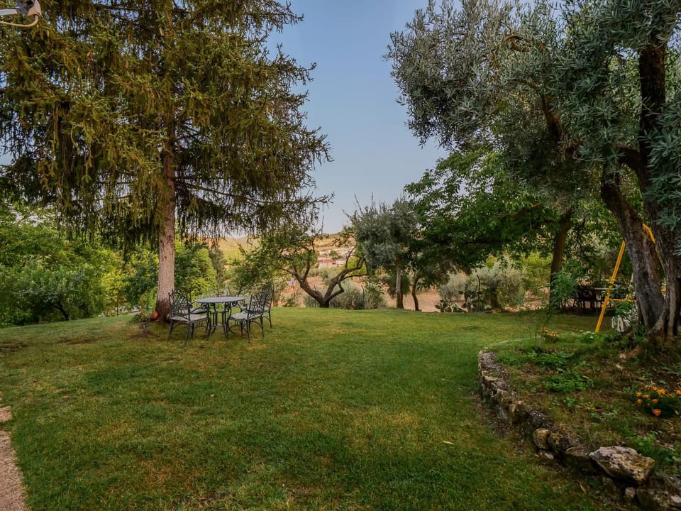 Natural landscape, Garden, Garden view