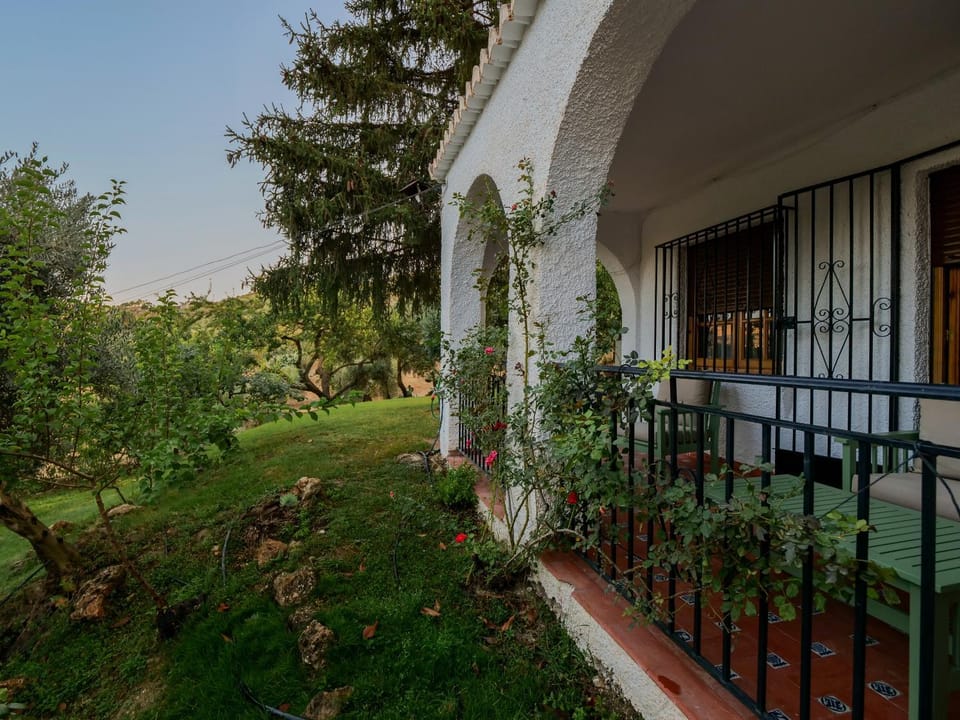 Property building, Garden, Balcony/Terrace