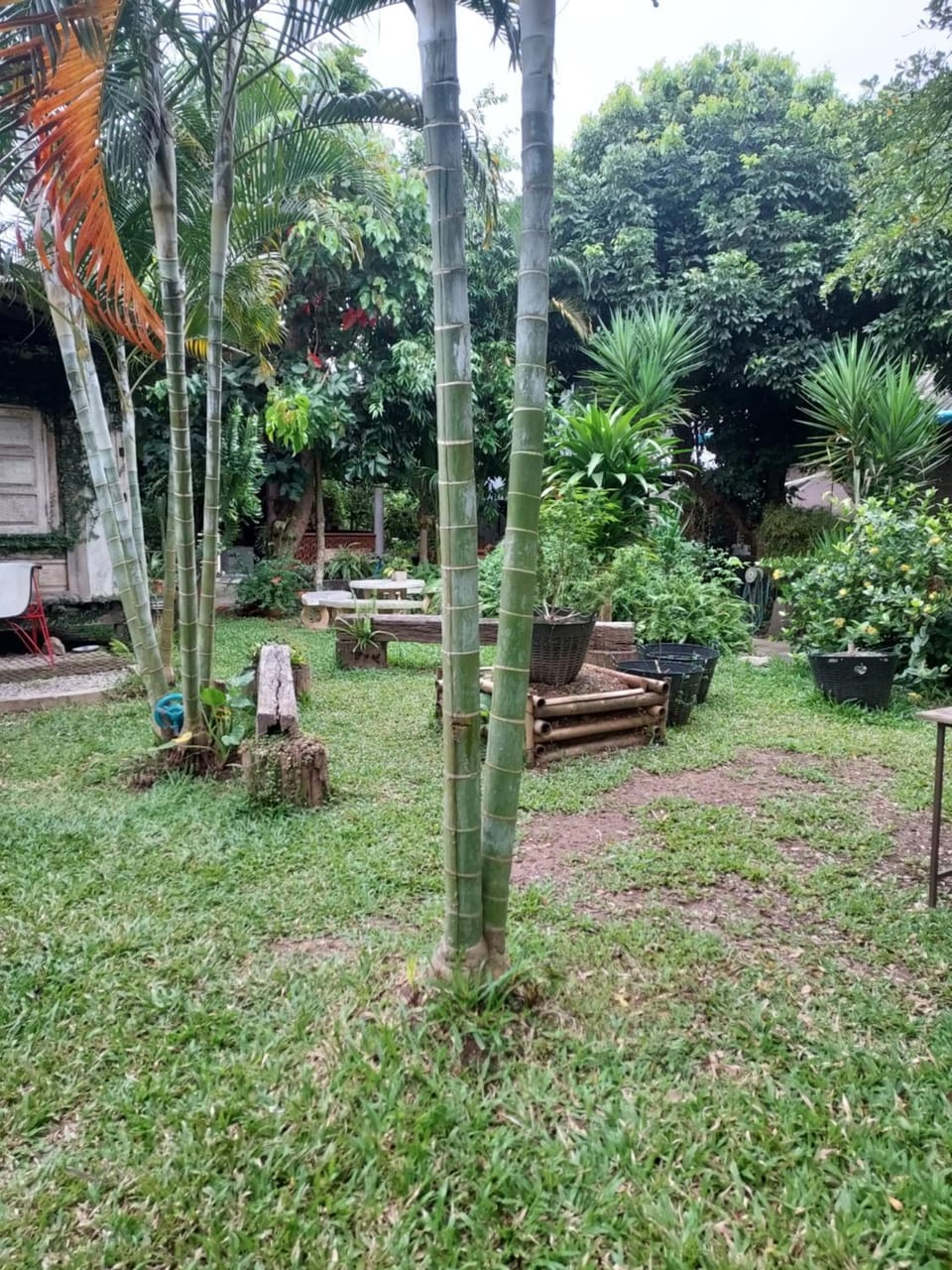 kwanlah homestay Vacation rental in Thailand