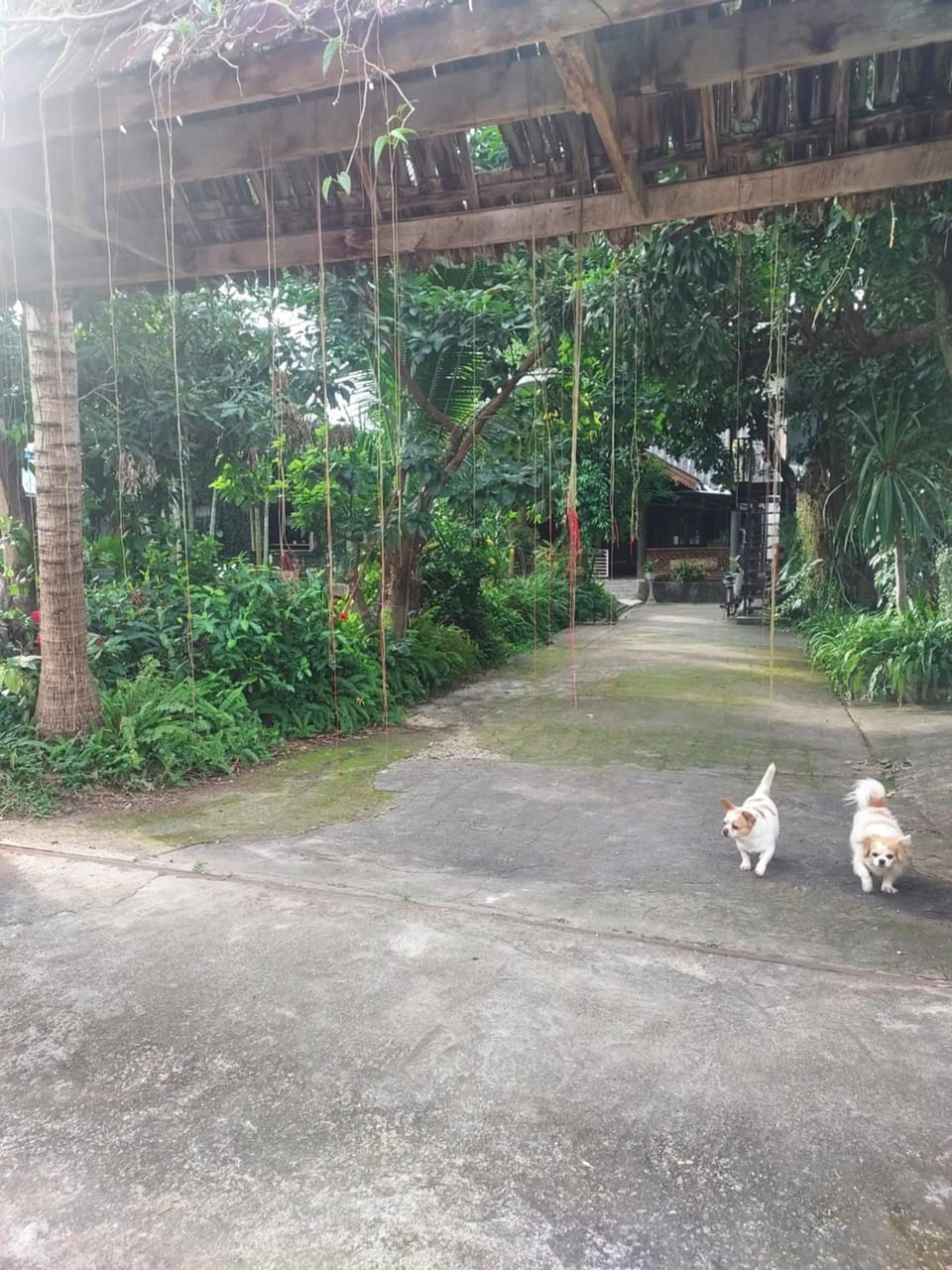 kwanlah homestay Vacation rental in Thailand