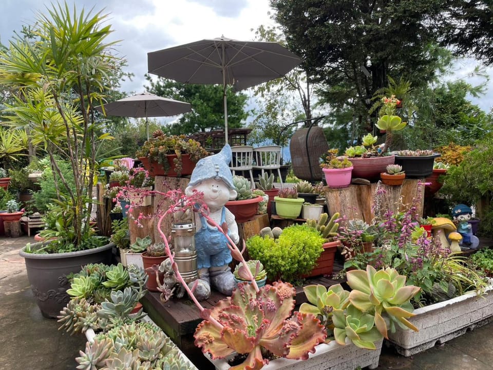 Garden view