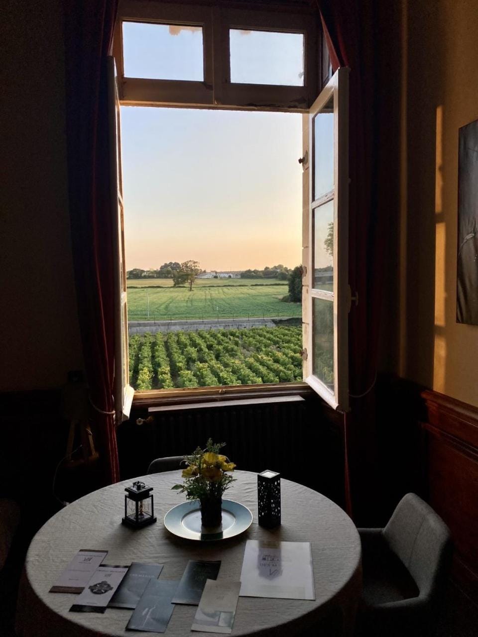 Garden view
