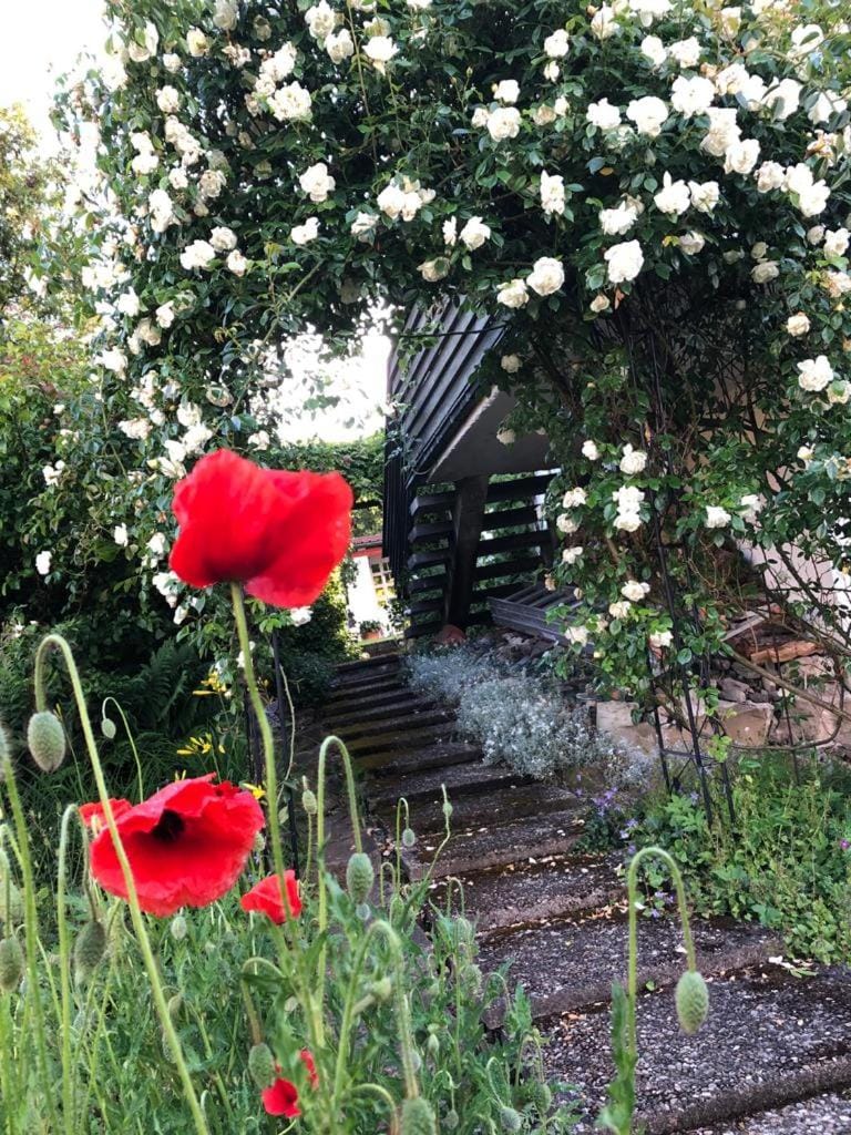 Garden, On site