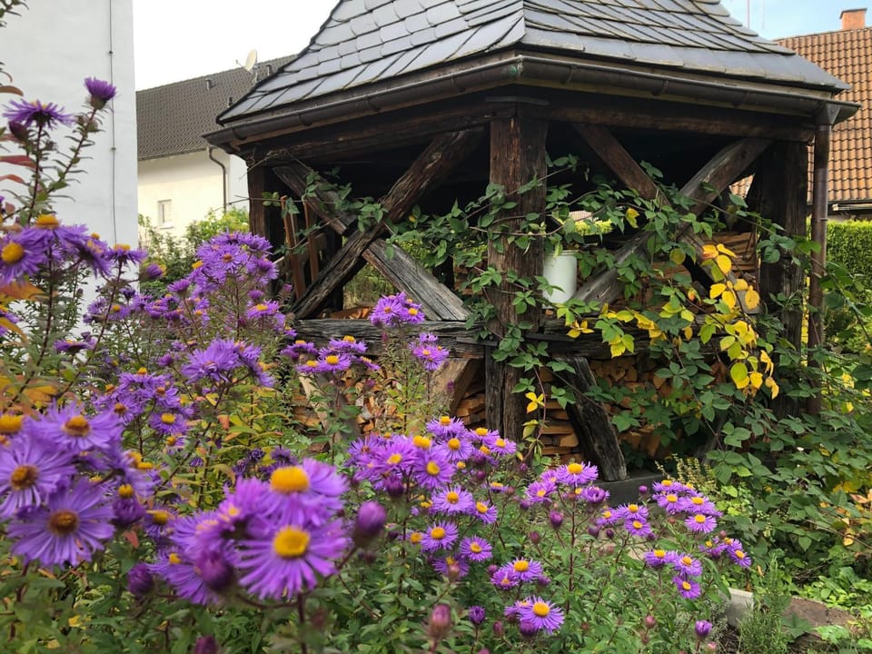 Garden, On site