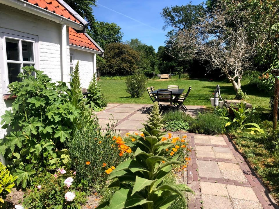 Patio, Summer, Garden, Garden, Balcony/Terrace