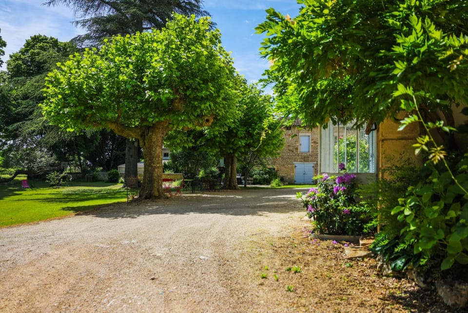 Property building, Natural landscape, Garden view