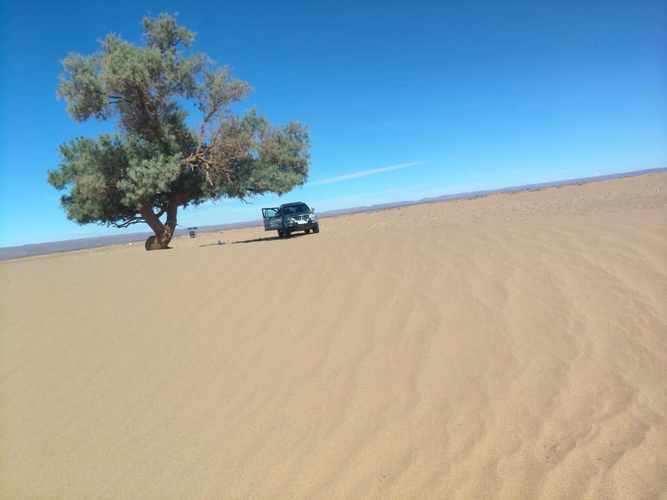 Day, Natural landscape