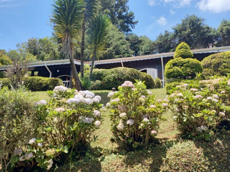 Property building, Garden