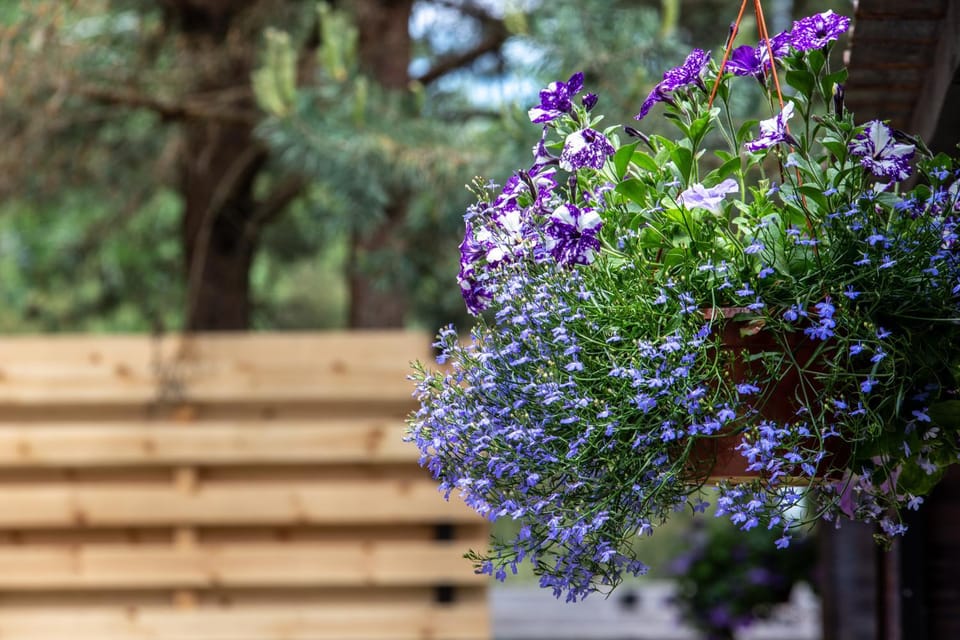 Don Vyto Apartment in Lithuania