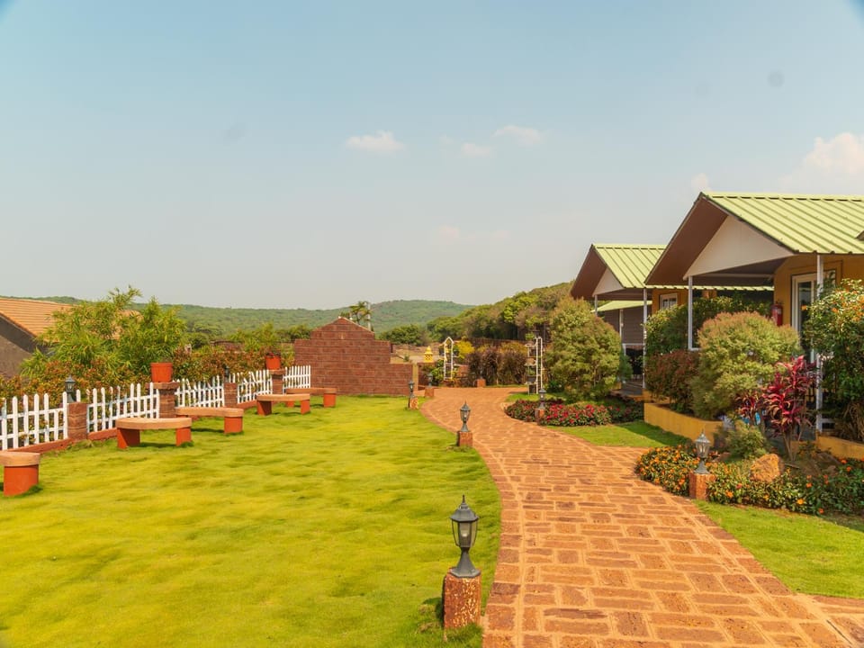 Natural landscape, Garden, Garden view, Mountain view