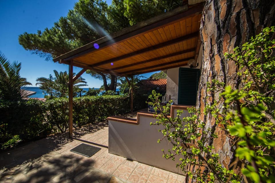 Property building, Spring, Garden view