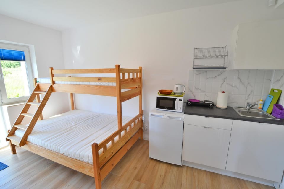 Bed, Kitchen or kitchenette, Photo of the whole room, bunk bed, minibar, pet friendly, kitchen