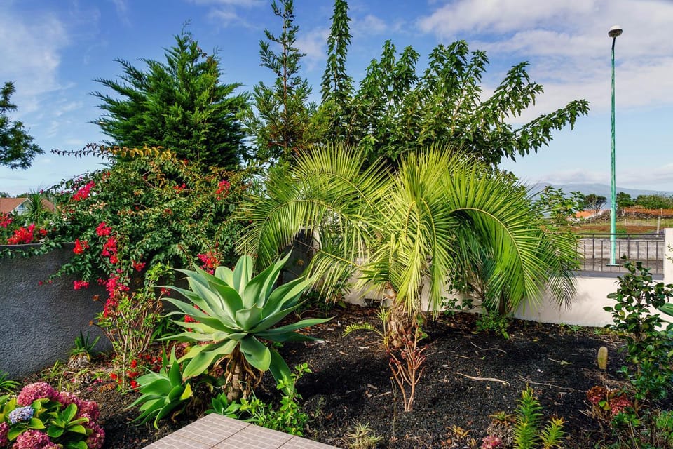 Garden, Garden view