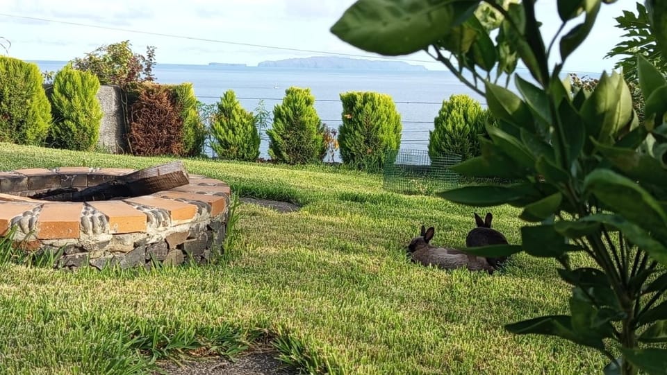 The Goat's Place Vacation rental in Madeira District
