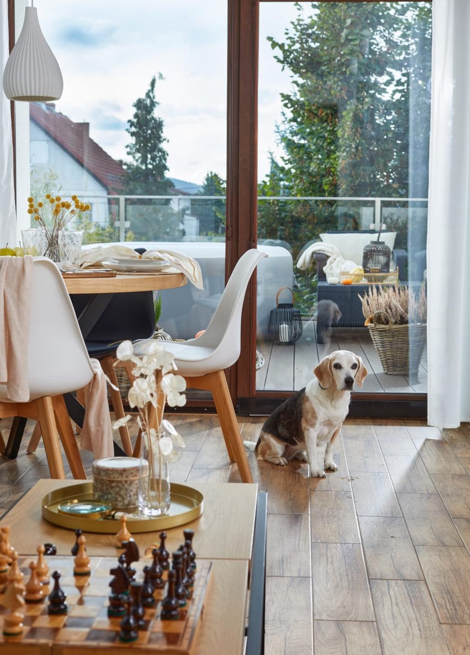 Living room, Seating area, Pets