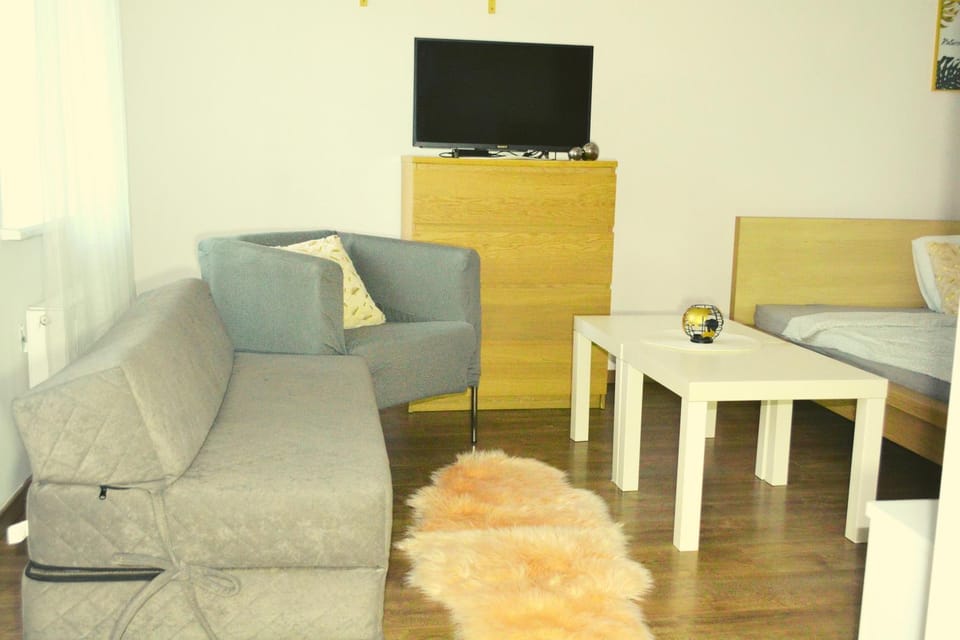 Communal lounge/ TV room, Living room, Seating area