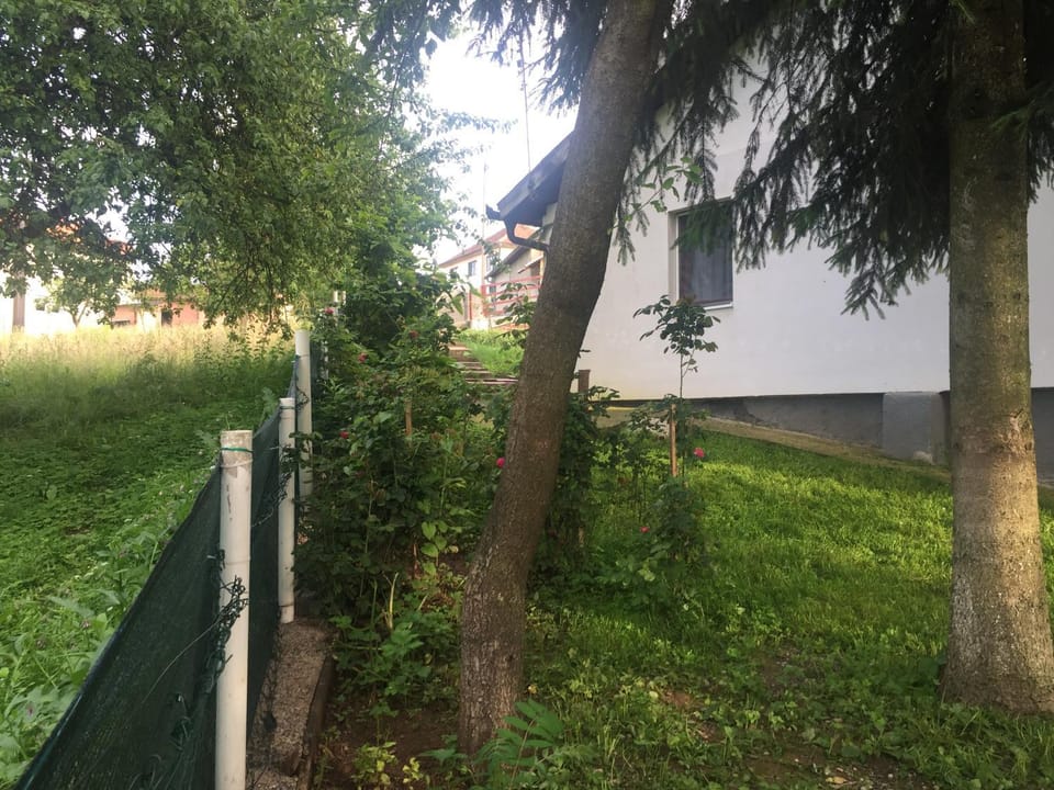 Garden, Garden view