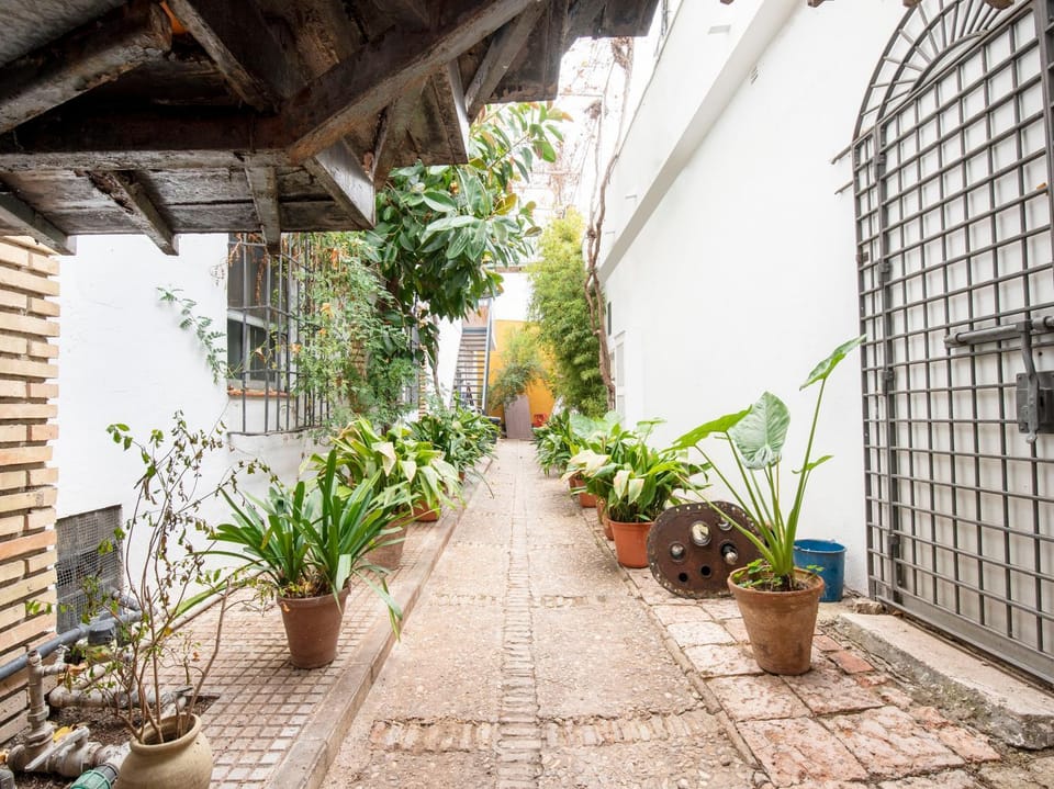 Patio, Facade/entrance, Garden
